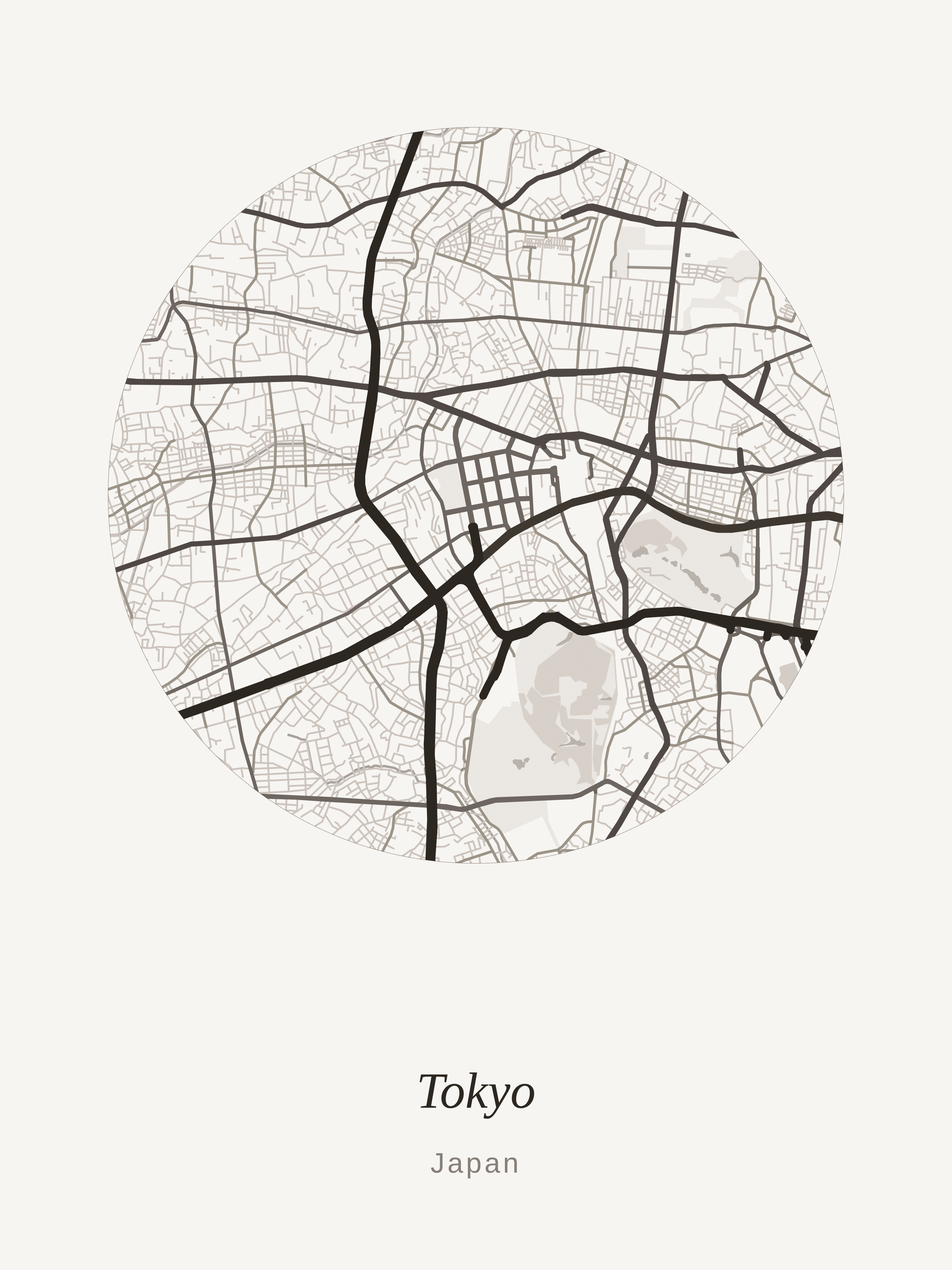 Tokyo map art — Mono theme
